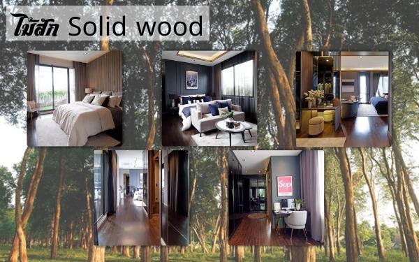Solidwood ไม้สัก
